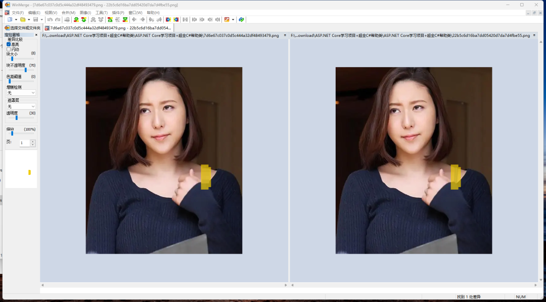 alt text
